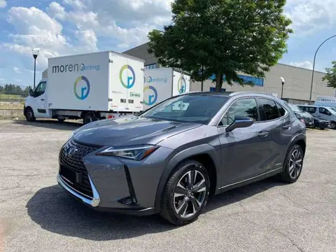 Annonce LEXUS UX Hybride 2019 d'occasion 