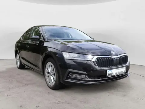 Annonce SKODA OCTAVIA Diesel 2022 d'occasion 