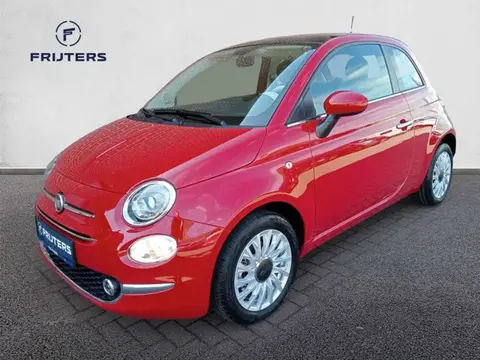 Annonce FIAT 500 Hybride 2024 d'occasion Belgique