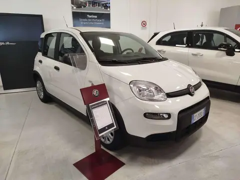 Used FIAT PANDA Hybrid 2024 Ad 