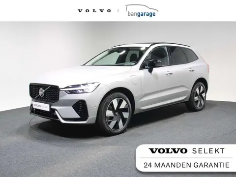 Used VOLVO XC60 Hybrid 2024 Ad 