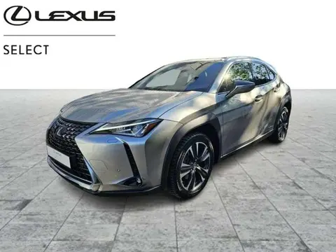 Annonce LEXUS UX Hybride 2020 d'occasion France