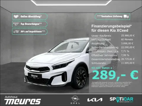 Annonce KIA XCEED Essence 2024 d'occasion 