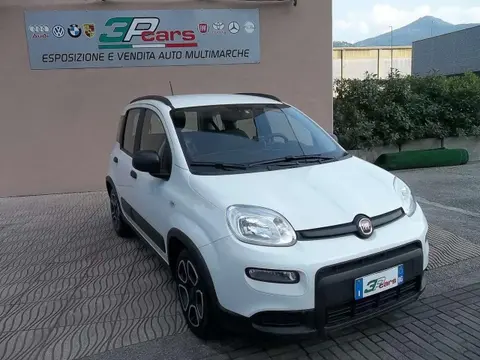 Used FIAT PANDA Hybrid 2022 Ad 