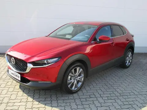 Annonce MAZDA CX-30 Essence 2024 d'occasion 