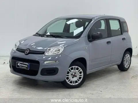 Used FIAT PANDA Petrol 2019 Ad 