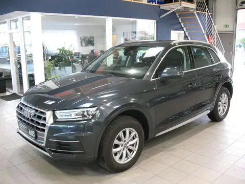 Used AUDI Q5 Diesel 2019 Ad 