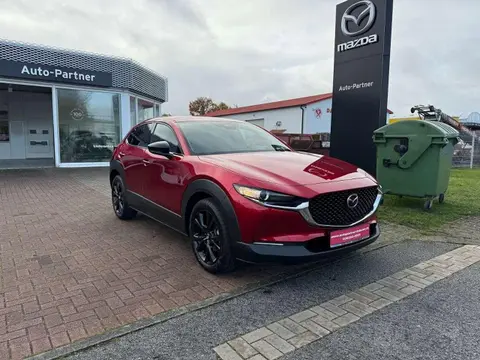 Annonce MAZDA CX-30 Essence 2024 d'occasion 