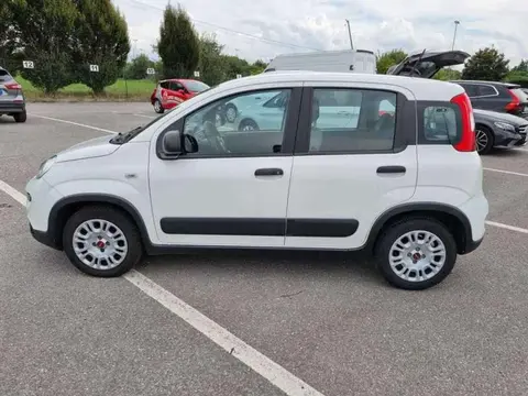 Used FIAT PANDA Hybrid 2021 Ad 