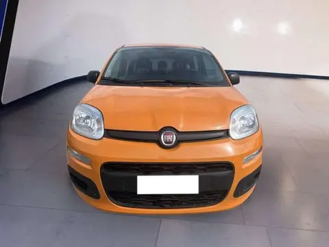 Used FIAT PANDA Hybrid 2021 Ad 