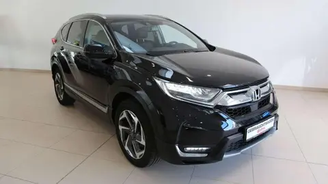 Used HONDA CR-V Petrol 2019 Ad 