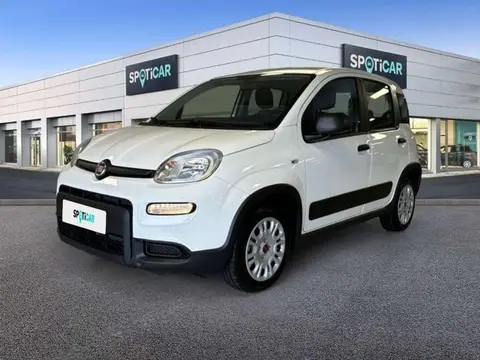 Used FIAT PANDA Petrol 2022 Ad 