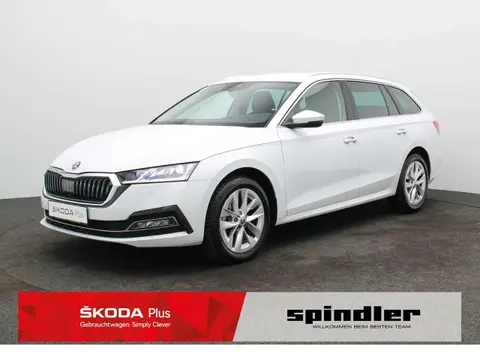 Annonce SKODA OCTAVIA Diesel 2023 d'occasion 