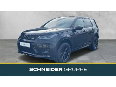 Annonce LAND ROVER DISCOVERY Diesel 2024 d'occasion 