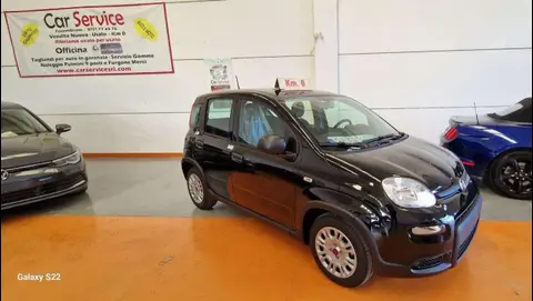 Used FIAT PANDA Hybrid 2024 Ad 