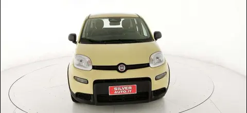 Used FIAT PANDA Hybrid 2024 Ad 