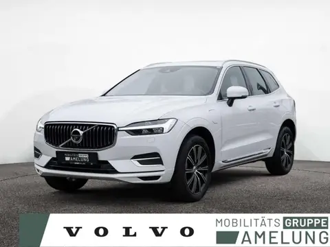 Annonce VOLVO XC60 Essence 2021 d'occasion 