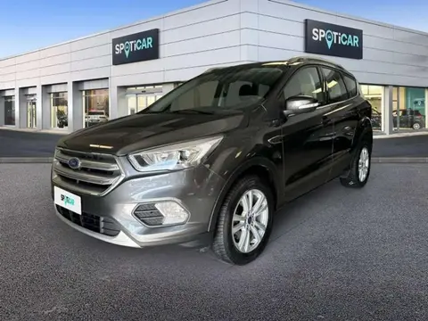 Annonce FORD KUGA Diesel 2019 d'occasion 