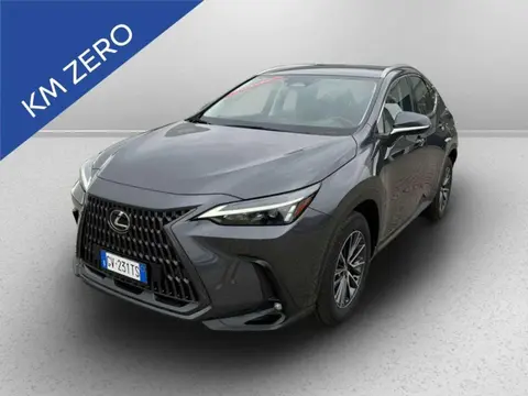 Used LEXUS NX Hybrid 2024 Ad 