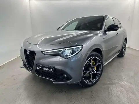 Annonce ALFA ROMEO STELVIO Diesel 2021 d'occasion 