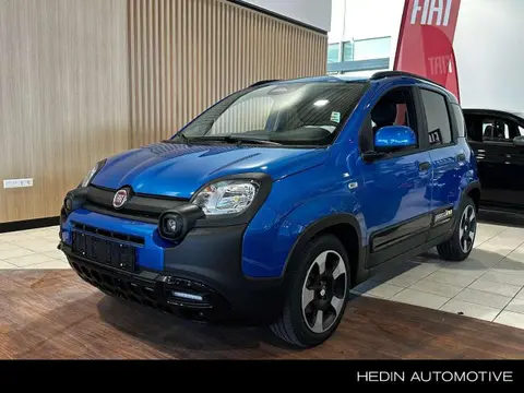 Used FIAT PANDA Petrol 2024 Ad 