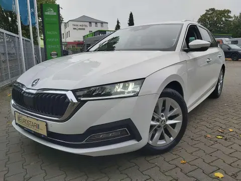 Annonce SKODA OCTAVIA Diesel 2021 d'occasion 