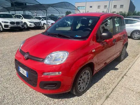 Used FIAT PANDA Petrol 2020 Ad 