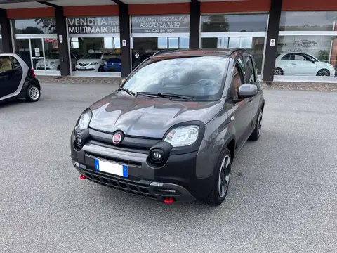 Annonce FIAT PANDA Hybride 2023 d'occasion 