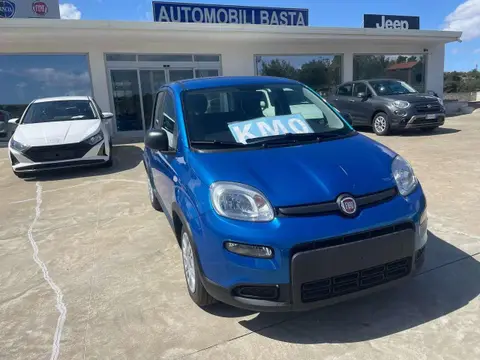 Used FIAT PANDA Hybrid 2024 Ad 