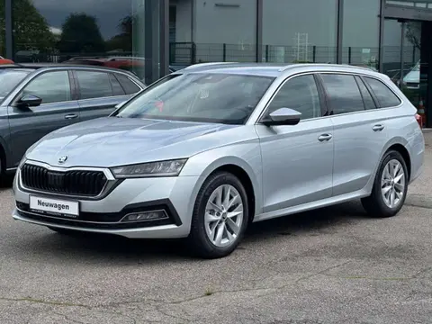 Used SKODA OCTAVIA Petrol 2024 Ad 