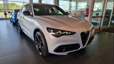 Used ALFA ROMEO STELVIO Diesel 2024 Ad 