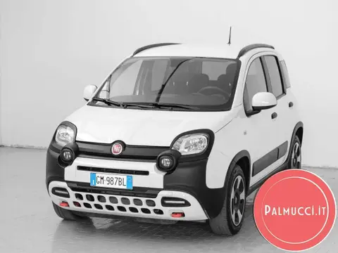 Annonce FIAT PANDA Hybride 2023 d'occasion 