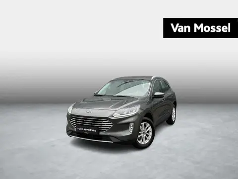 Used FORD KUGA Hybrid 2023 Ad 