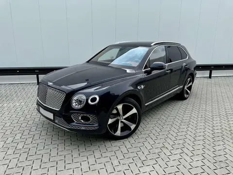 Used BENTLEY BENTAYGA Petrol 2019 Ad 