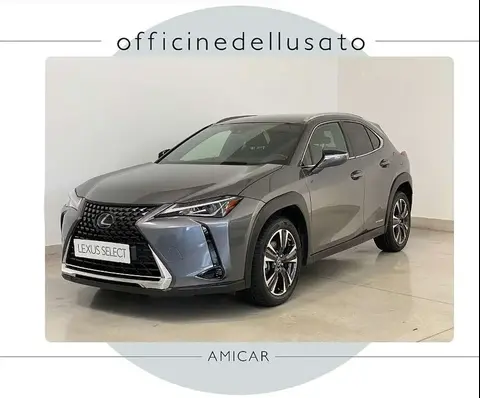 Used LEXUS UX Hybrid 2019 Ad 