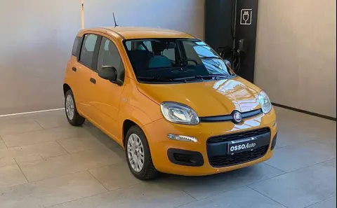 Used FIAT PANDA  2021 Ad 