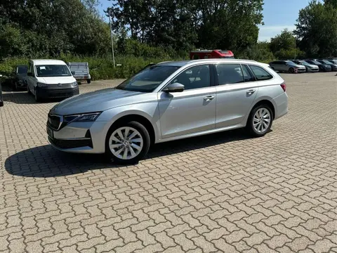 Annonce SKODA OCTAVIA Diesel 2024 d'occasion 