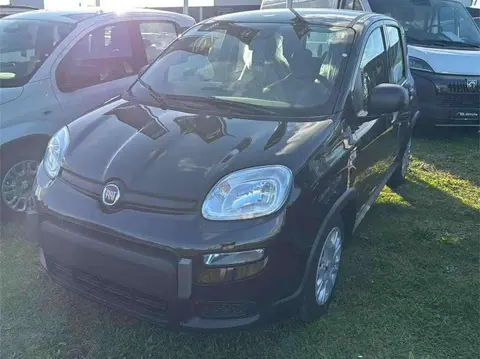 Annonce FIAT PANDA Essence 2024 d'occasion 