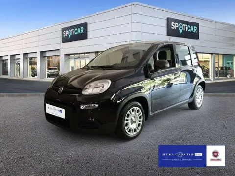 Used FIAT PANDA Petrol 2024 Ad 