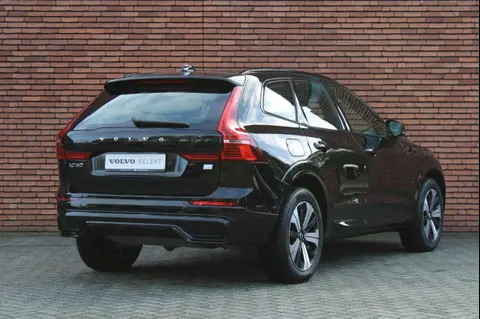 Used VOLVO XC60 Hybrid 2024 Ad 