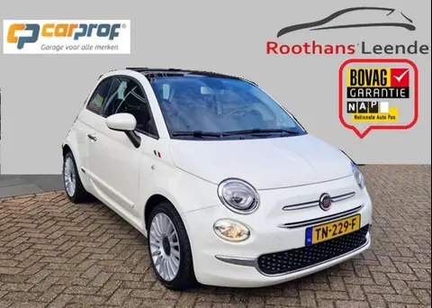 Used FIAT 500 Petrol 2018 Ad 