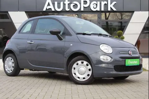 Used FIAT 500 Petrol 2021 Ad 