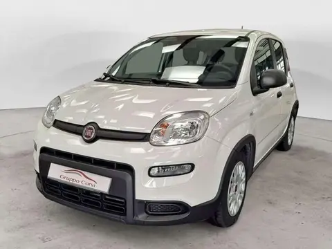 Annonce FIAT PANDA Hybride 2022 d'occasion 