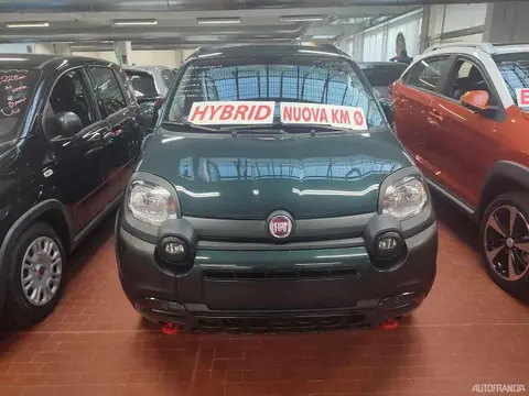 Used FIAT PANDA Hybrid 2024 Ad 