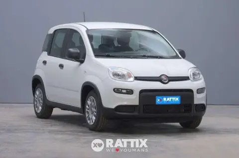 Used FIAT PANDA Hybrid 2024 Ad 