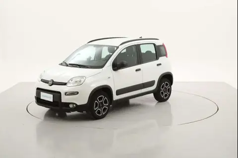 Annonce FIAT PANDA  2021 d'occasion 