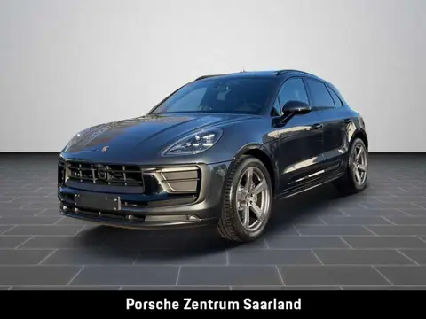 Annonce PORSCHE MACAN Essence 2024 d'occasion 