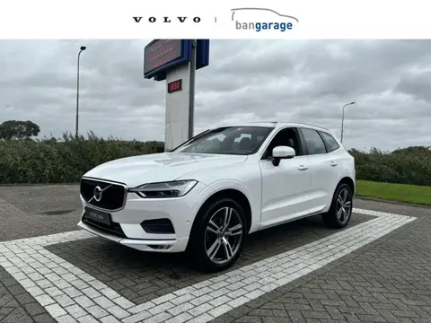 Used VOLVO XC60 Petrol 2018 Ad 