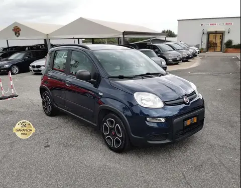 Used FIAT PANDA Hybrid 2021 Ad 