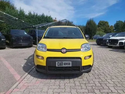 Used FIAT PANDA Hybrid 2024 Ad 